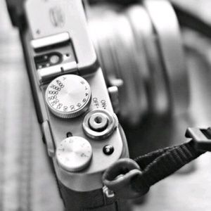 Meet your Posher, Rose